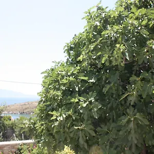 Condo Rentals Apartament Saranda